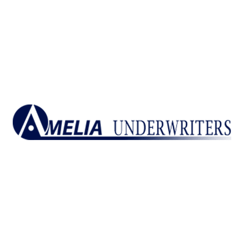 Amelia Underwriters